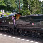 Photos from the Annual Special Train