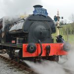 Kilmersdon to spend the summer in Cornwall