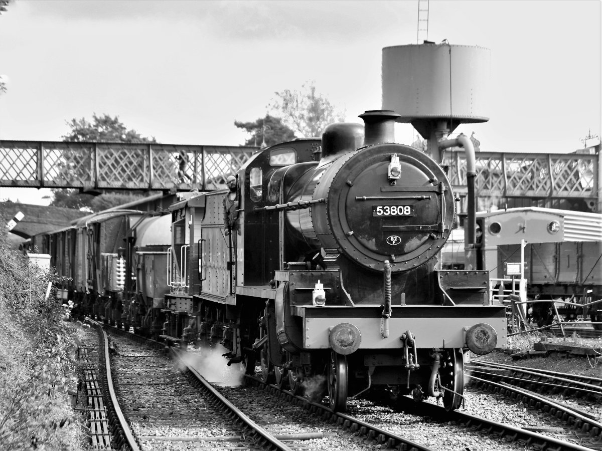 53808 at the Watercress Line Autumn Steam Gala