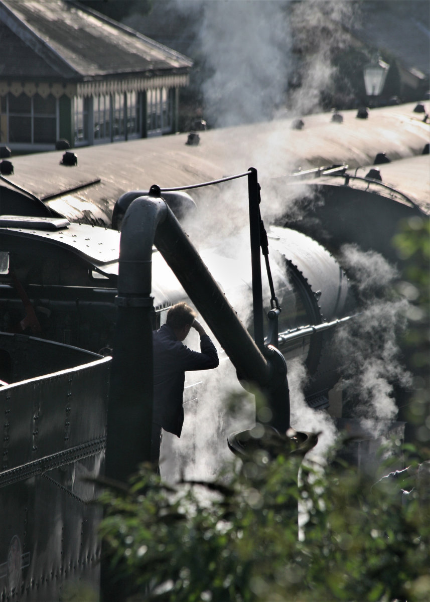 53808 at the Watercress Line Autumn Steam Gala