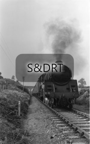 Corfe Mullen summit; 73087 'Linette' on Down 'Pines Express'