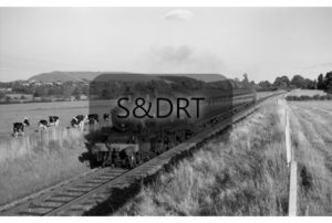 Hammoon; 41243 on Up passenger service, 1962; G A Richardson